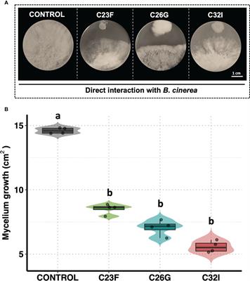 Amphibian skin bacteria display antifungal activity and induce plant defense mechanisms against Botrytis cinerea